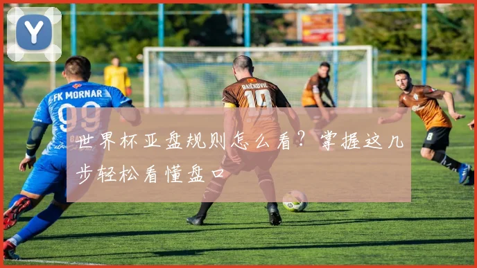 世界杯亚盘规则怎么看？掌握这几步轻松看懂盘口