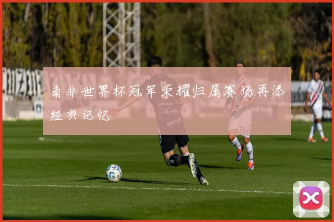 南非世界杯冠军荣耀归属赛场再添经典记忆